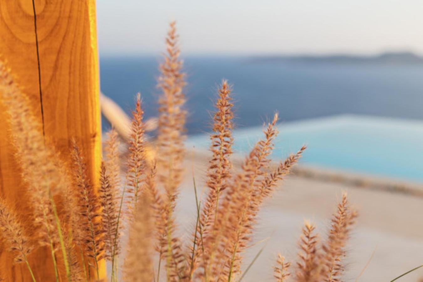 Birdhouse Private Luxury Suite Agios Ioannis Diakoftis Exterior photo